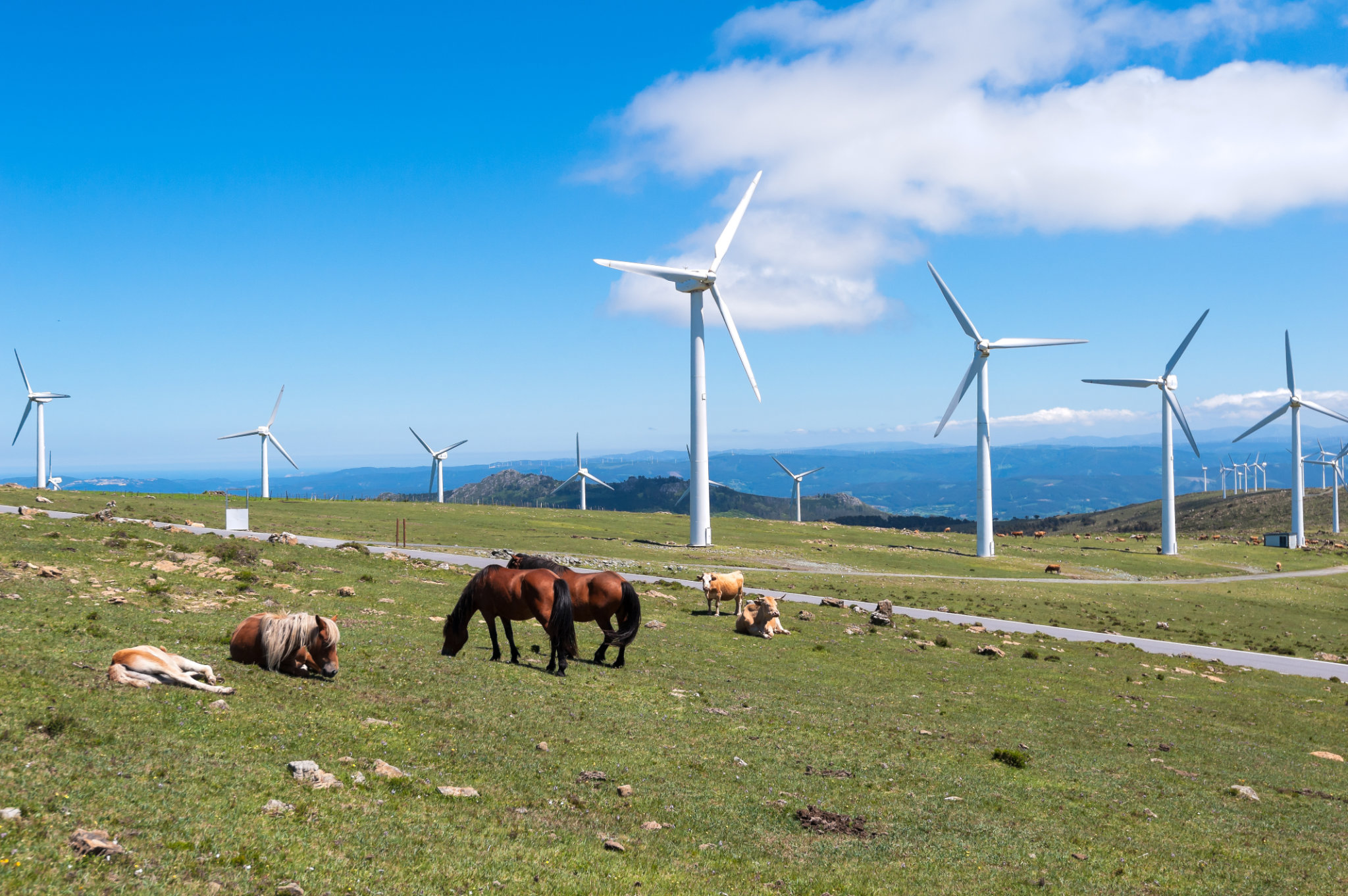 Paisaje con caballos, aerogeneradores para generación de energía eléctrica, cielo azul y nubes. Galicia, España.